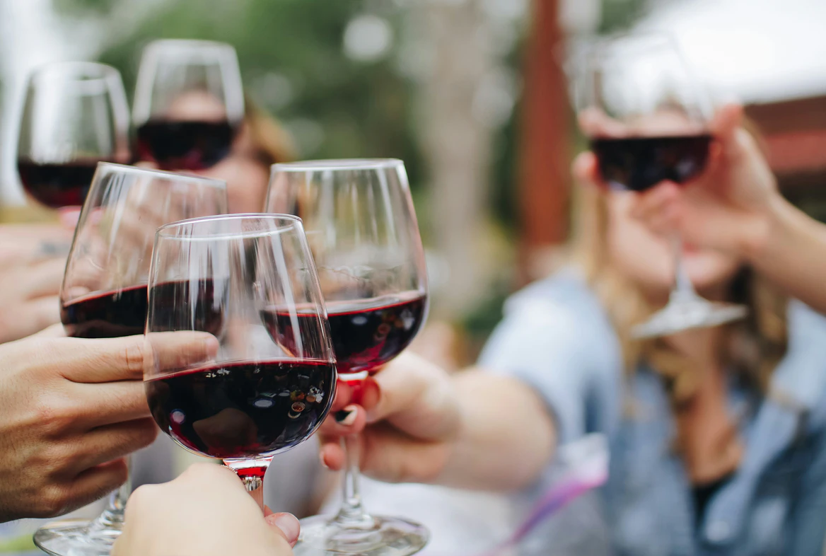 Friends toasting with wine glasses at a casual gathering